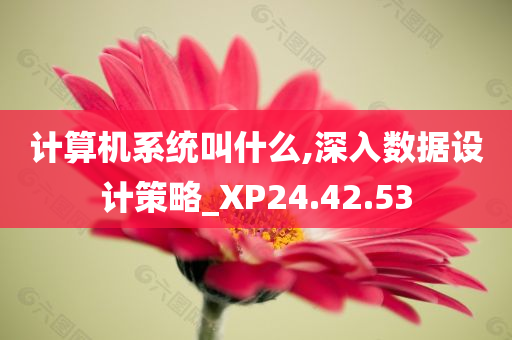 计算机系统叫什么,深入数据设计策略_XP24.42.53