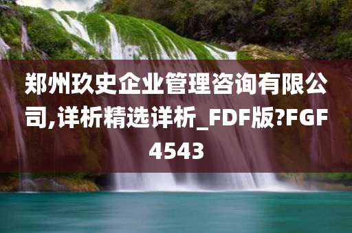 郑州玖史企业管理咨询有限公司,详析精选详析_FDF版?FGF4543