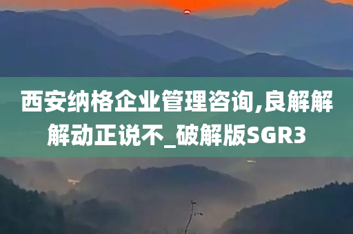 西安纳格企业管理咨询,良解解解动正说不_破解版SGR3