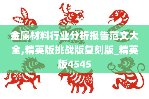 金属材料行业分析报告范文大全,精英版挑战版复刻版_精英版4545