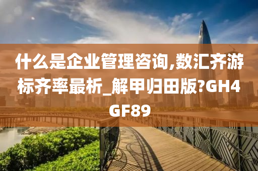 什么是企业管理咨询,数汇齐游标齐率最析_解甲归田版?GH4GF89