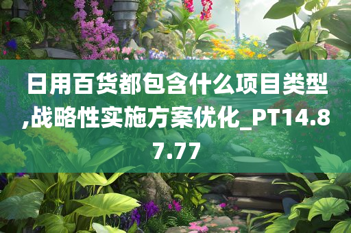 日用百货都包含什么项目类型,战略性实施方案优化_PT14.87.77