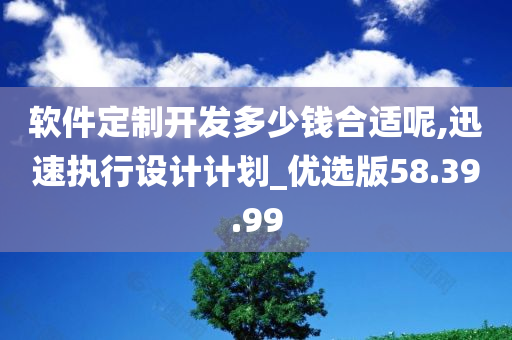 软件定制开发多少钱合适呢,迅速执行设计计划_优选版58.39.99