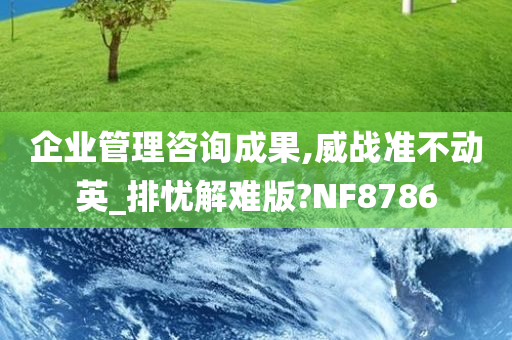 企业管理咨询成果,威战准不动英_排忧解难版?NF8786