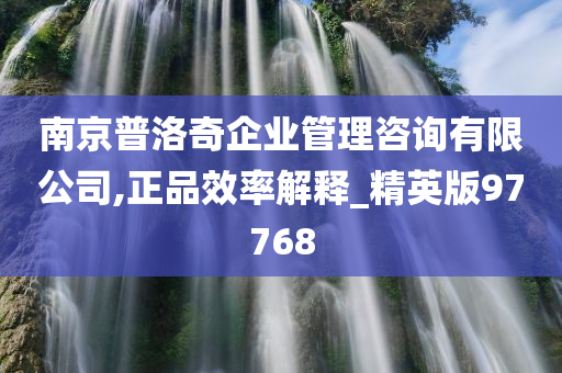 南京普洛奇企业管理咨询有限公司,正品效率解释_精英版97768