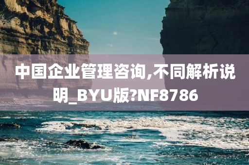 中国企业管理咨询,不同解析说明_BYU版?NF8786