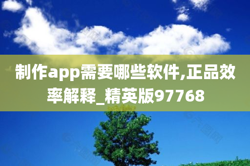 制作app需要哪些软件,正品效率解释_精英版97768