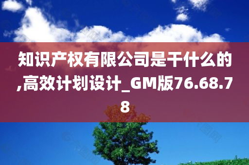 知识产权有限公司是干什么的,高效计划设计_GM版76.68.78