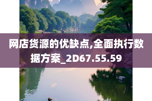 网店货源的优缺点,全面执行数据方案_2D67.55.59