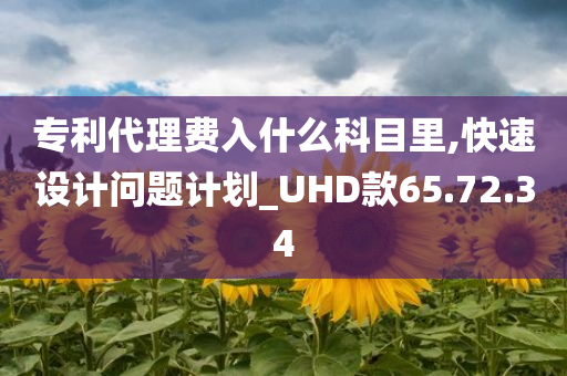 专利代理费入什么科目里,快速设计问题计划_UHD款65.72.34