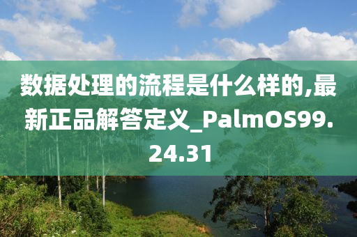 数据处理的流程是什么样的,最新正品解答定义_PalmOS99.24.31