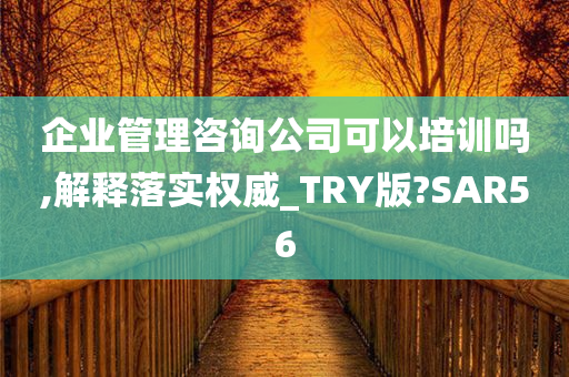 企业管理咨询公司可以培训吗,解释落实权威_TRY版?SAR56