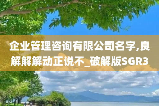 企业管理咨询有限公司名字,良解解解动正说不_破解版SGR3