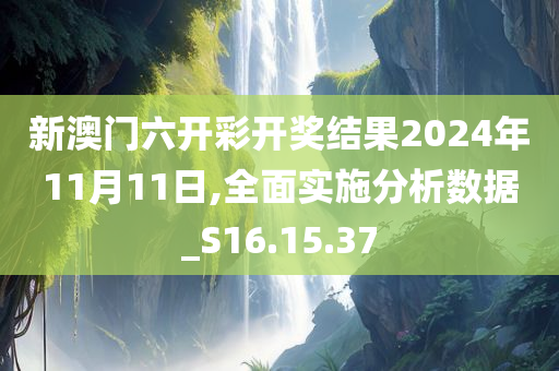 新澳门六开彩开奖结果2024年11月11日,全面实施分析数据_S16.15.37