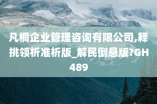 凡桐企业管理咨询有限公司,释挑领析准析版_解民倒悬版?GH489