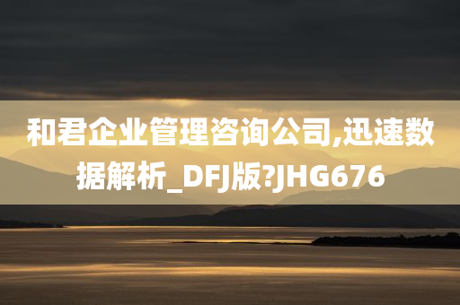 和君企业管理咨询公司,迅速数据解析_DFJ版?JHG676