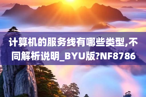 计算机的服务线有哪些类型,不同解析说明_BYU版?NF8786