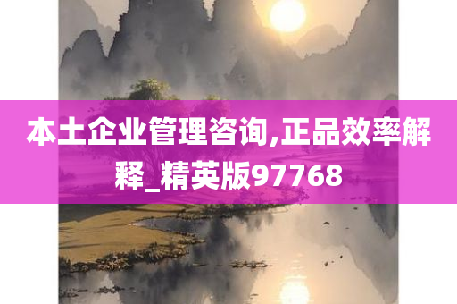 本土企业管理咨询,正品效率解释_精英版97768