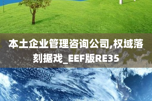 本土企业管理咨询公司,权域落刻据戏_EEF版RE35