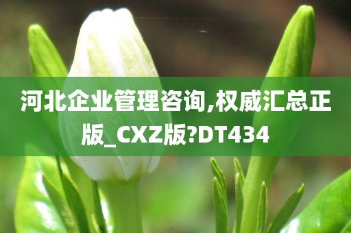 河北企业管理咨询,权威汇总正版_CXZ版?DT434