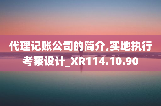 代理记账公司的简介,实地执行考察设计_XR114.10.90