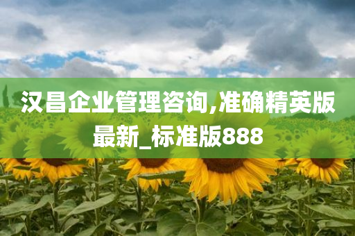 汉昌企业管理咨询,准确精英版最新_标准版888