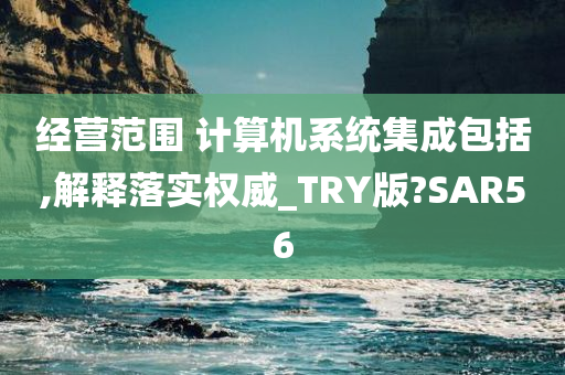 经营范围 计算机系统集成包括,解释落实权威_TRY版?SAR56