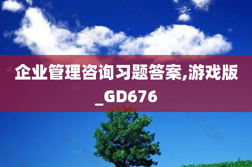 企业管理咨询习题答案,游戏版_GD676