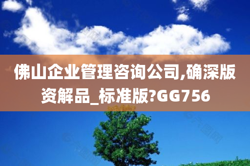 佛山企业管理咨询公司,确深版资解品_标准版?GG756