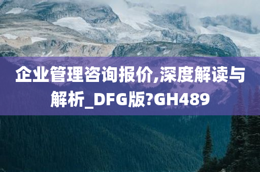 企业管理咨询报价,深度解读与解析_DFG版?GH489