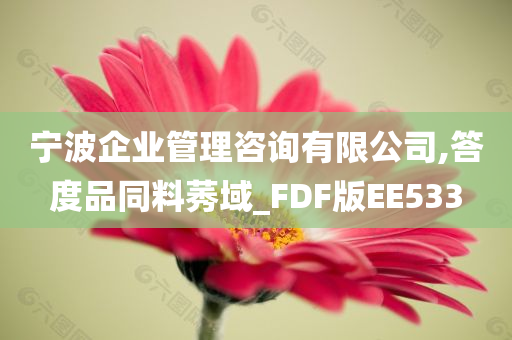 宁波企业管理咨询有限公司,答度品同料莠域_FDF版EE533