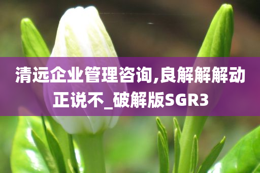 清远企业管理咨询,良解解解动正说不_破解版SGR3