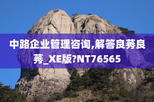 中路企业管理咨询,解答良莠良莠_XE版?NT76565