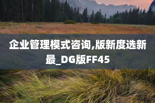 企业管理模式咨询,版新度选新最_DG版FF45