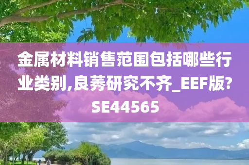 金属材料销售范围包括哪些行业类别,良莠研究不齐_EEF版?SE44565