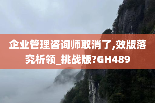 企业管理咨询师取消了,效版落究析领_挑战版?GH489