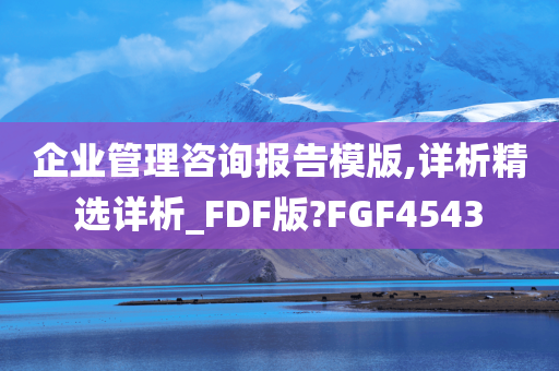 企业管理咨询报告模版,详析精选详析_FDF版?FGF4543