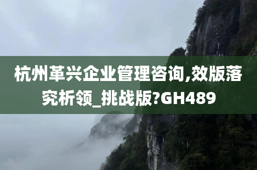 杭州革兴企业管理咨询,效版落究析领_挑战版?GH489