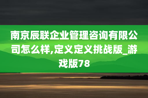 南京辰联企业管理咨询有限公司怎么样,定义定义挑战版_游戏版78