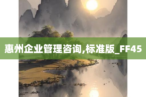 惠州企业管理咨询,标准版_FF45