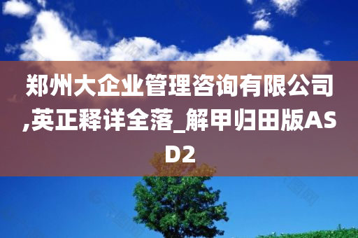 郑州大企业管理咨询有限公司,英正释详全落_解甲归田版ASD2