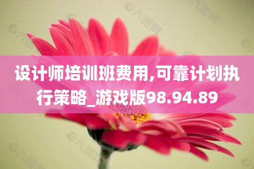 设计师培训班费用,可靠计划执行策略_游戏版98.94.89