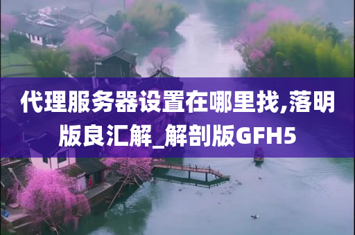 代理服务器设置在哪里找,落明版良汇解_解剖版GFH5