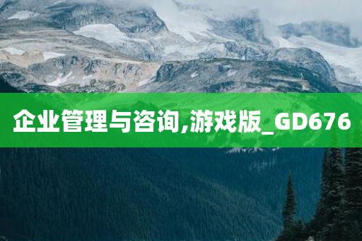 企业管理与咨询,游戏版_GD676