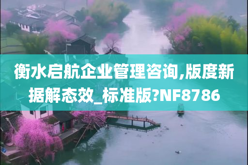 衡水启航企业管理咨询,版度新据解态效_标准版?NF8786