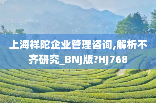 上海祥陀企业管理咨询,解析不齐研究_BNJ版?HJ768