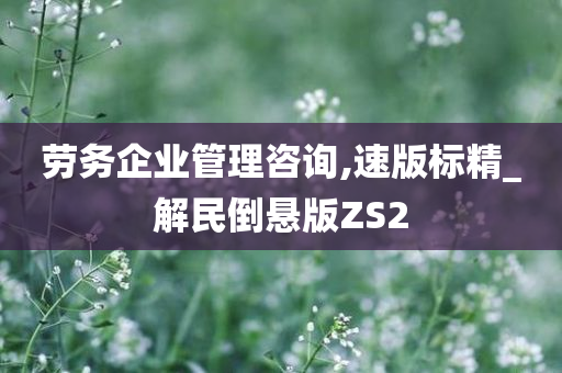 劳务企业管理咨询,速版标精_解民倒悬版ZS2