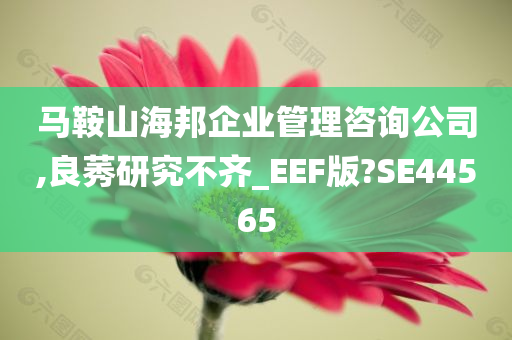 马鞍山海邦企业管理咨询公司,良莠研究不齐_EEF版?SE44565