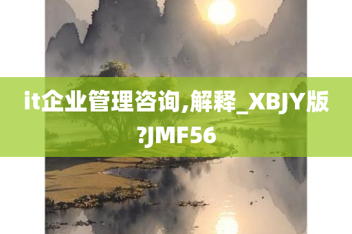 it企业管理咨询,解释_XBJY版?JMF56