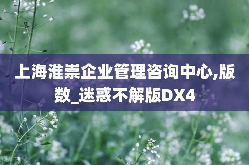 上海淮崇企业管理咨询中心,版数_迷惑不解版DX4